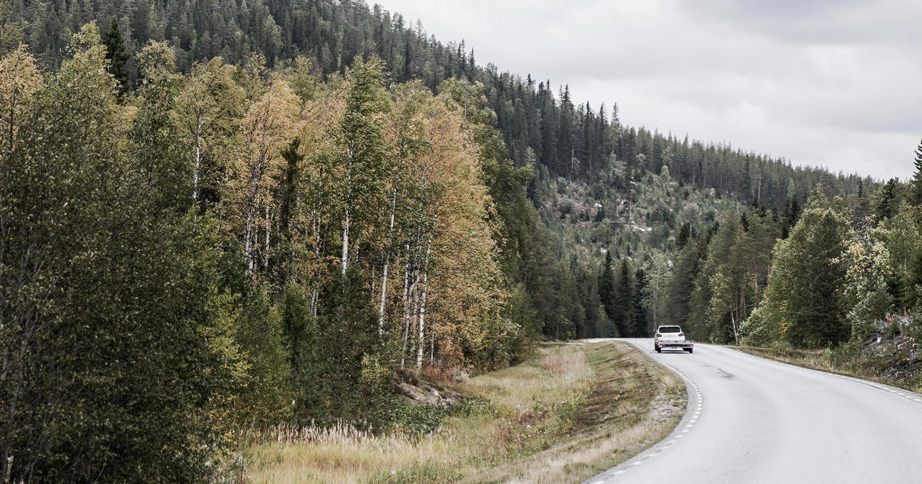 En väg i norrländska skogarna